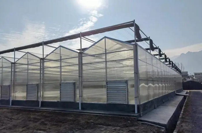 向日葵视频官网陽光板的使用場合和應用場景