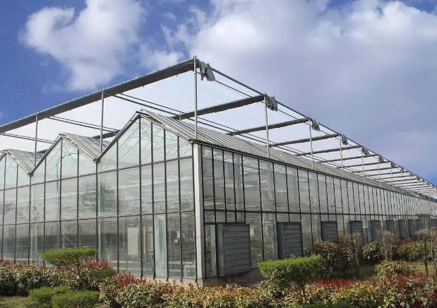 向日葵视频官网板新型溫室大棚一畝造價多少錢？